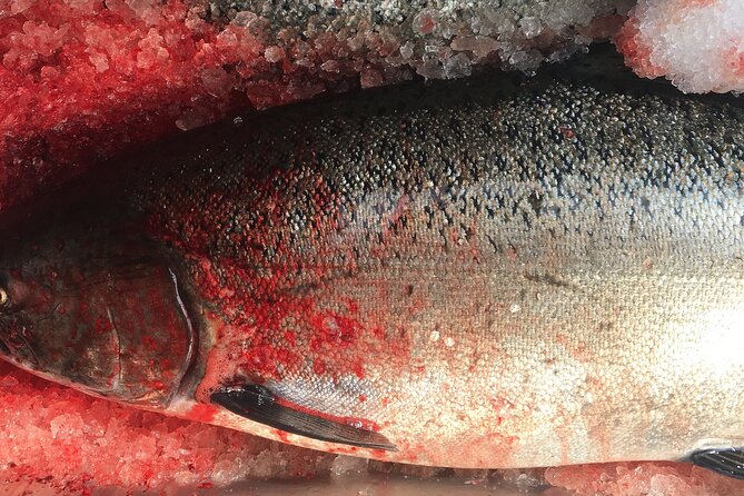 Private Alaska Salmon Fishing—Up to 6 Guests, Priced by Group - Key points to know before booking
