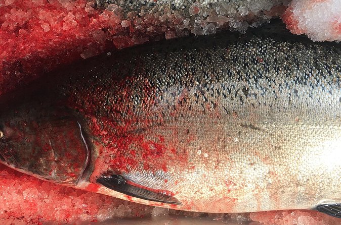 Private Alaska Salmon Fishing—Up to 6 Guests, Priced by Group - Accessibility and adaptive fishing equipment