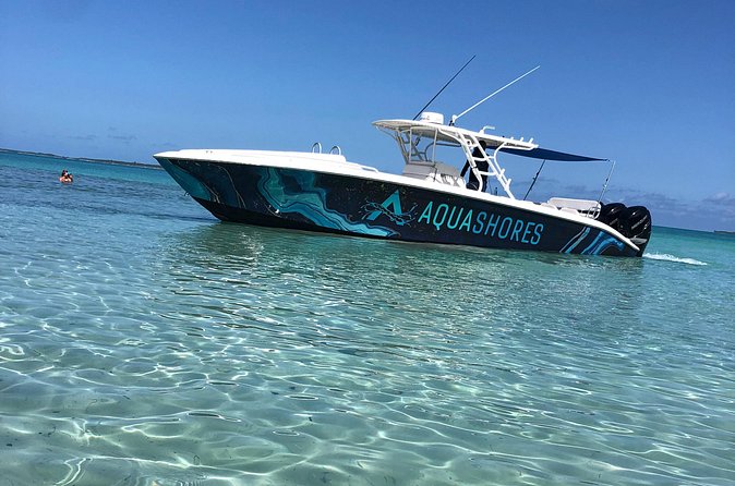Private Bahamas Boat Fishing and Turtle Snorkeling Tour - Timing, meeting point, and weather concerns