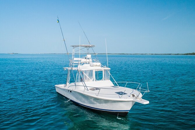 Private Bahamas Half-Day Fishing Tour from New Providence - Snorkeling adds a useful backup plan
