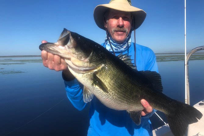 Private Bass Fishing Charter Near Disney World - Shingle Creek Regional Park and the shoreline views