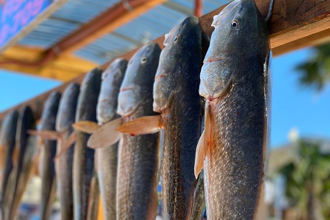 Private Bay Fishing South Padre Island - Quick facts worth knowing
