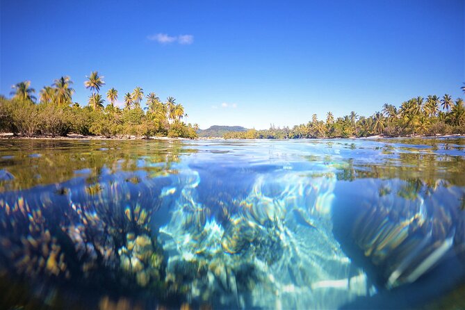 Private Big Game Fishing Tour in Raiatea - A Lagoon Snorkel Stop if You Want a Change