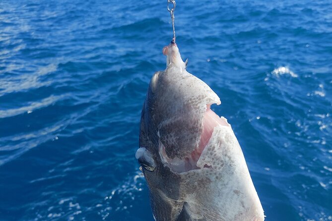 Private Big Game Fishing Tour in Raiatea - How This Compares With a Shared Fishing Trip
