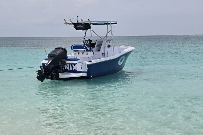 Private Boat Tours & Fishing Charters in Nassau, Bahamas - Reef viewing brings a quieter pause