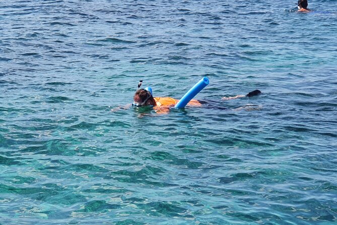 Private Charter for snorkeling, swimming pigs, turtles & fishing.... - Turtles, beaches, and the optional pig stop