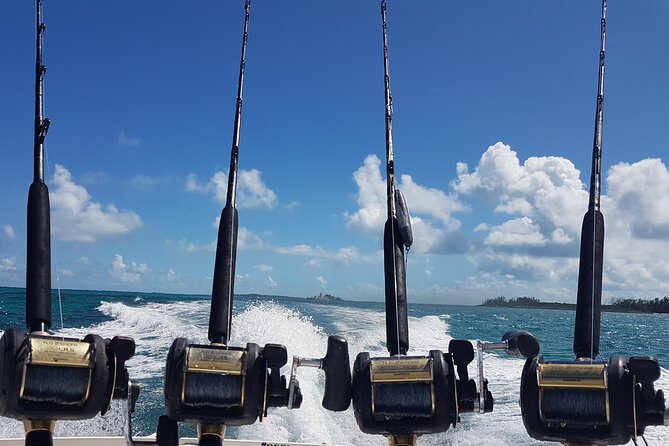 Private Charter for snorkeling, swimming pigs, turtles & fishing.... - Price and value for a private group