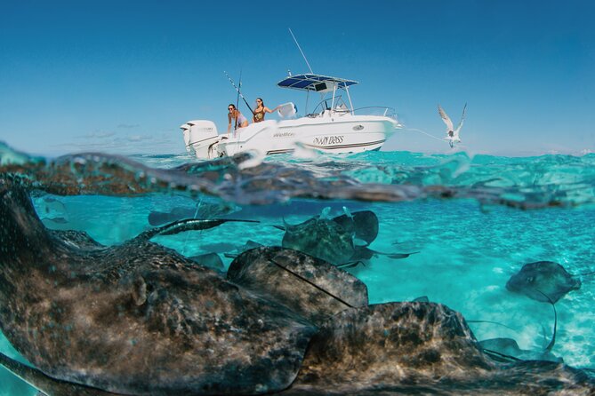 Private Charter Reef fishing, Stingray City, Snorkel, Mangroves - Key points to know before booking