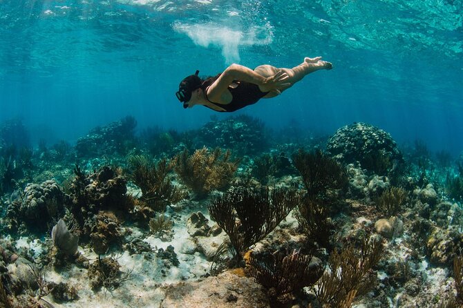 Private Charter Reef fishing, Stingray City, Snorkel, Mangroves - Rum Point and the value of unhurried time