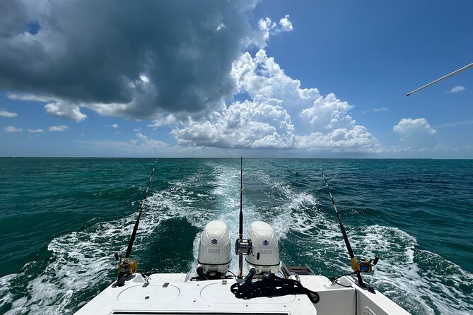Private Charter Reef fishing, Stingray City, Snorkel, Mangroves - Mangroves and the quieter side of Grand Cayman