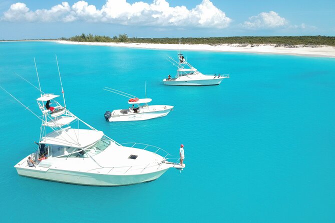Private Deep Sea Fishing 1/2 Day morning on"Angler Management" - Setting out from Providenciales at 8am