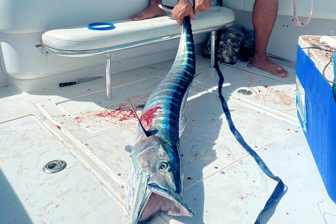 Private Deep Sea Fishing Experience in Grand Cayman - The fish you may target offshore