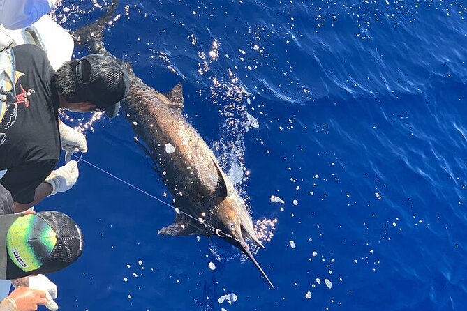 Private Deep Sea Full-Day Fishing Charter in Hawaiian Waters - Fish you might target in Hawaiian waters