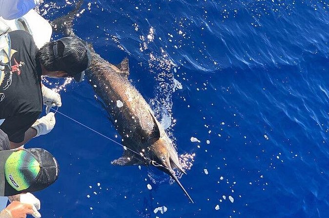 Private Deep Sea Full-Day Fishing Charter in Hawaiian Waters - The quiet stretches are part of the deal