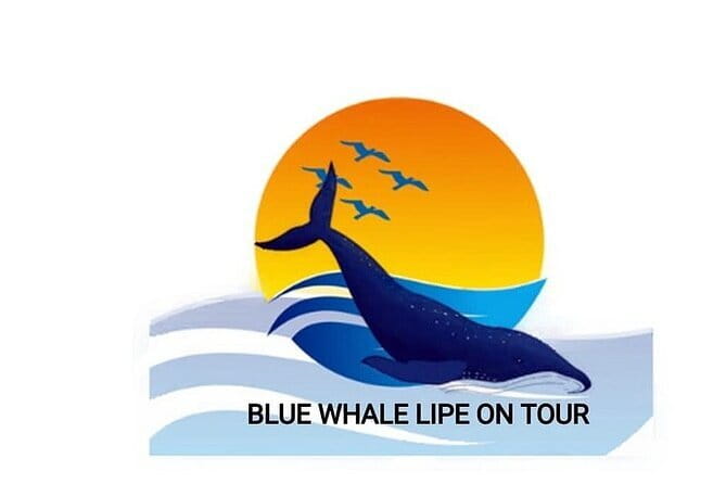 Private Experience with Fishing, Barbeque, Sashimi and Snorkeling - A sea-to-table day from Ko Lipe