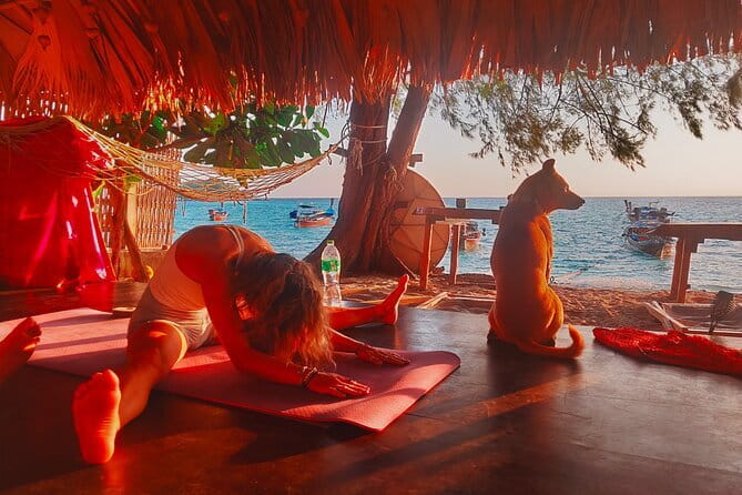 Private Experience with Fishing, Barbeque, Sashimi and Snorkeling - Who will enjoy this Ko Lipe tour