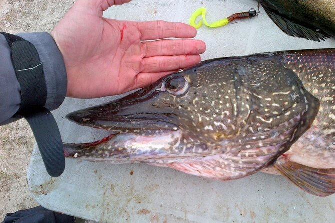 Private Fishing Adventure on the St. Lawrence River - Who will get the most from this outing