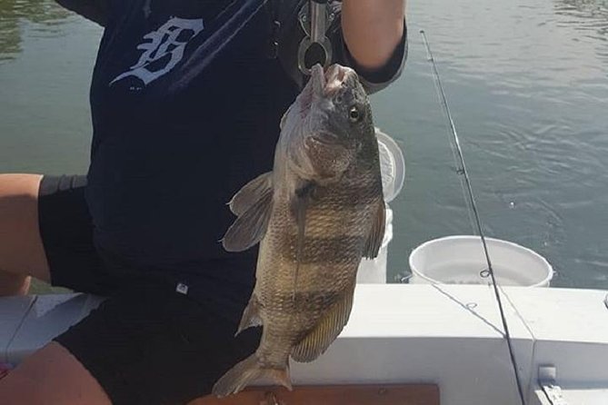 Private Fishing Boat Charters in Naples Bay and the Gulf - The final 15 minutes: cleaning your catch