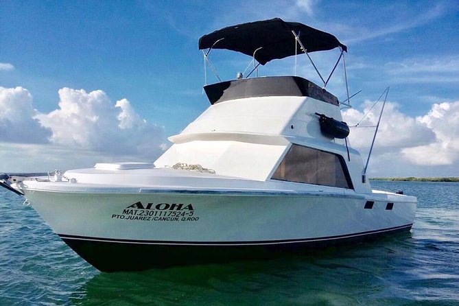 Private fishing charter Bertram 31ft 6 pax max if you don't fish you don't pay - Choosing between two, four, six, and eight hours