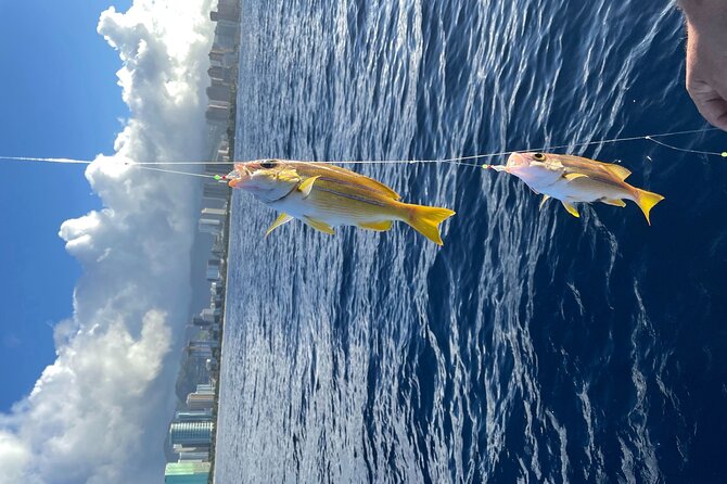 Private Fishing Charter for Family and Friends in Honolulu - Captains who keep children involved