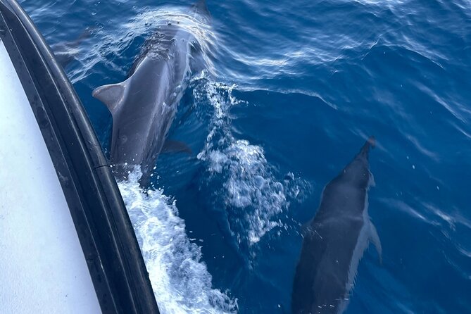 Private Fishing Charter for Family and Friends in Honolulu - What to bring, and what the price really covers