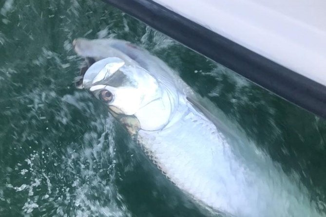 Private Fishing Charter from Ramrod Key - Practical details that affect your decision