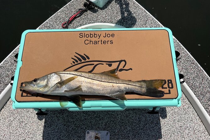 Private Fishing Charter in Tampa - The real value of $650 for up to four people