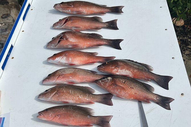 Private Fishing Charter in Tampa - Weather, cancellations, and sensible planning