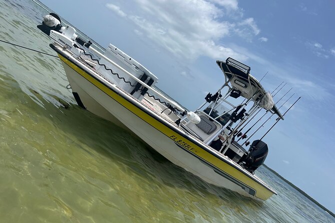 Private Fishing Charter in Tampa - What you might catch in Tampa Bay