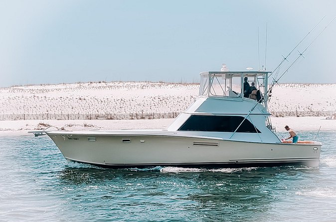 Private Fishing Charters from Destin Harbor - Booking Timing and Weather Plans