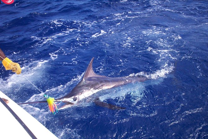 Private Fishing in St Lucia Charters - Why this St. Lucia charter feels different