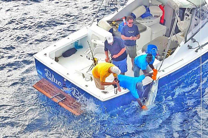 Private Fishing in St Lucia Charters - Leaving from Vigie Marina in Castries