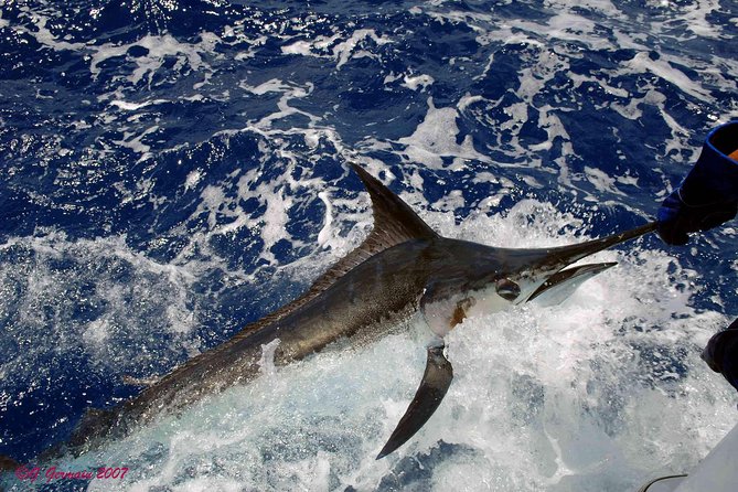 Private Fishing in St Lucia Charters - The boat, gear, and physical effort