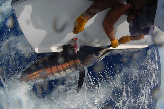 Private Fishing in St Lucia Charters - Booking, timing, and cancellation
