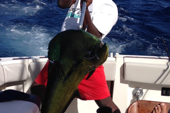 Private Fishing & Snorkel Charters in St Kitts and Nevis - Choosing between trolling, bottom fishing, and spinning