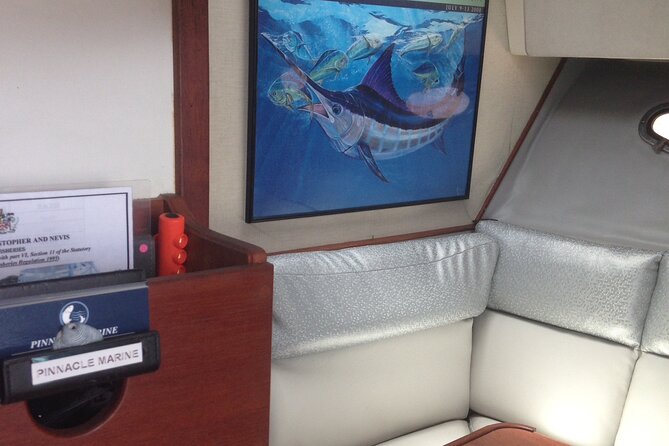 Private Fishing & Snorkel Charters in St Kitts and Nevis - What the boat and views add to the day