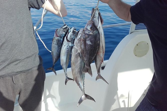 Private fishing tour - A realistic look at the catch