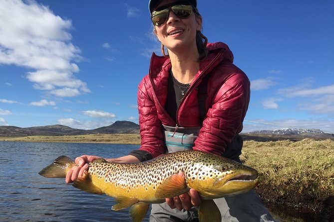 Private Fishing Tour from Reykjavik - Arctic Char and Brown Trout - Fish numbers, timing, and realistic expectations
