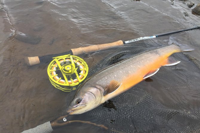 Private Fishing Tour from Reykjavik - Arctic Char and Brown Trout - The value of $960 per person