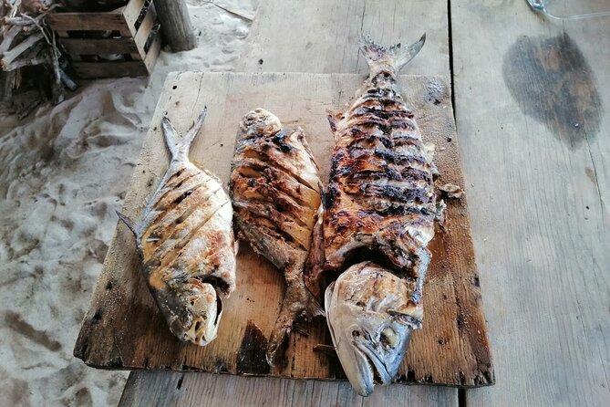 Private Fishing Tour in Holbox Island with Lunch and Pick up - Dolphins and the marine life around Holbox