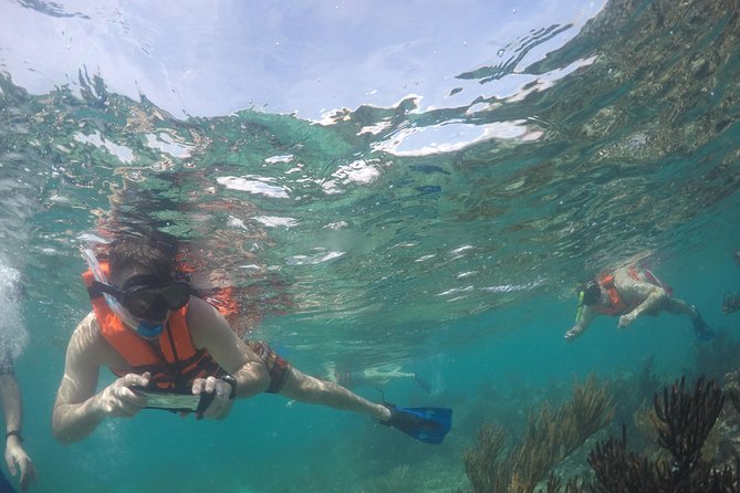 Private Fishing Tour in Yacht Playa del Carmen - A good choice for first-time fishers and mixed-interest groups