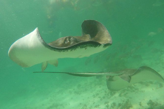 Private Fishing Tour in Yacht Playa del Carmen - Should you book this Puerto Aventuras fishing trip?