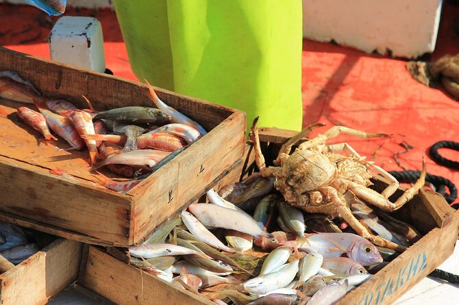 Private Fishing Trip in a Traditional Boat from Athens - The catch and the optional fish-tavern meal