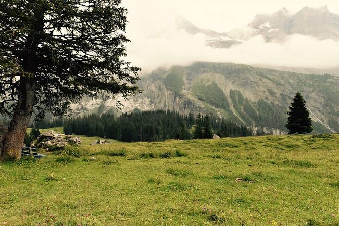 Private Fishing Trip in the Swiss Alps from Bern - Leaving Bern with your own vehicle and guide
