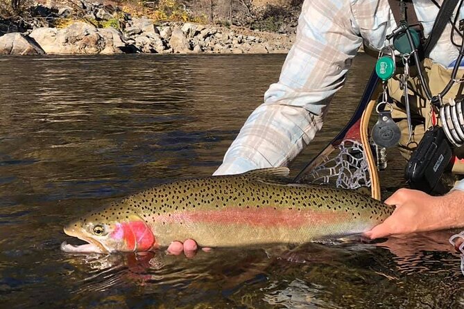 Private Full Day Fly Fishing For Beginners and Experienced Anglers - Pickup planning from Yosemite Valley and Groveland