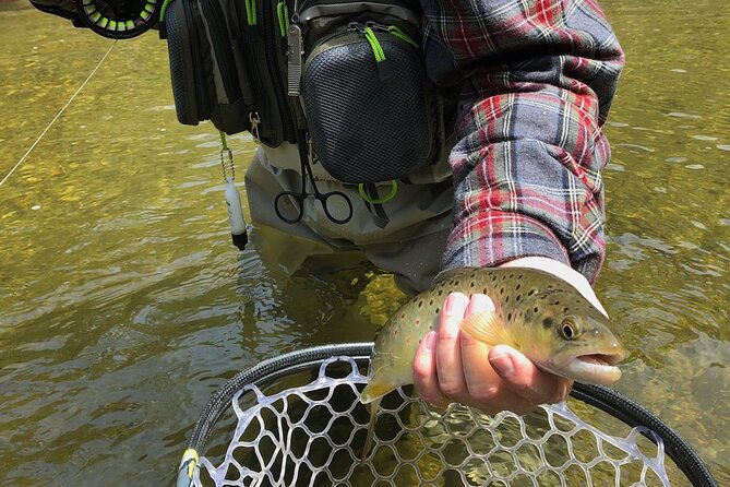 Private Full Day Fly Fishing For Beginners and Experienced Anglers - Gear, permits, lunch, and the actual value of $305