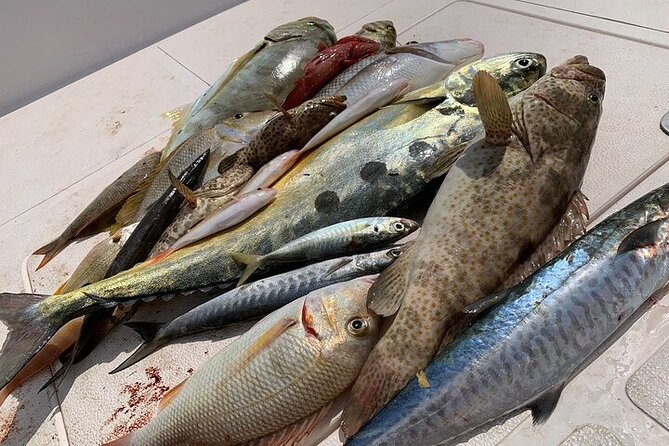 Private Game Fishing Trip with Sightseeing in Muscat - The boat, shade, restroom, and safety gear