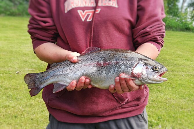 Private Guided Fishing Boat Tour in Rovaniemi - Best Time to Book