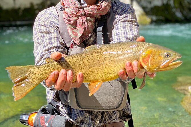 Private Half-day Fly Fishing - Key points at a glance