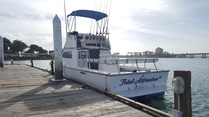 Private Half-Day San Diego Fishing Trip for up to 6 People - Wildlife and views between the bites
